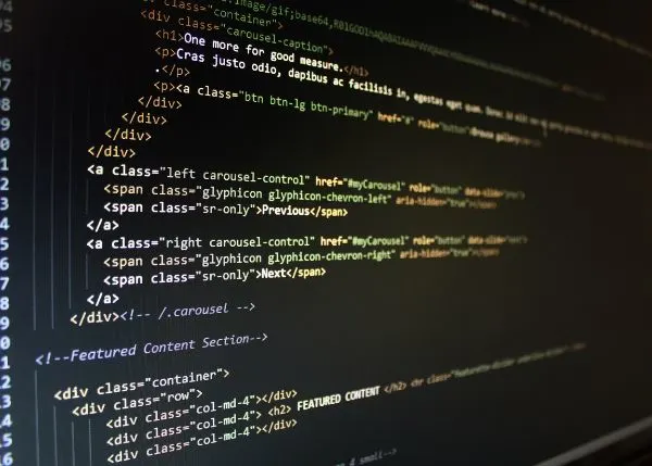 Custom Web Design and Development Services